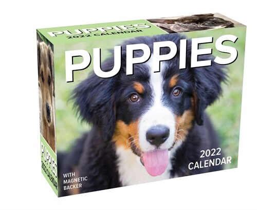 Puppies 2022 Mini Day-To-Day Calendar (Daily)