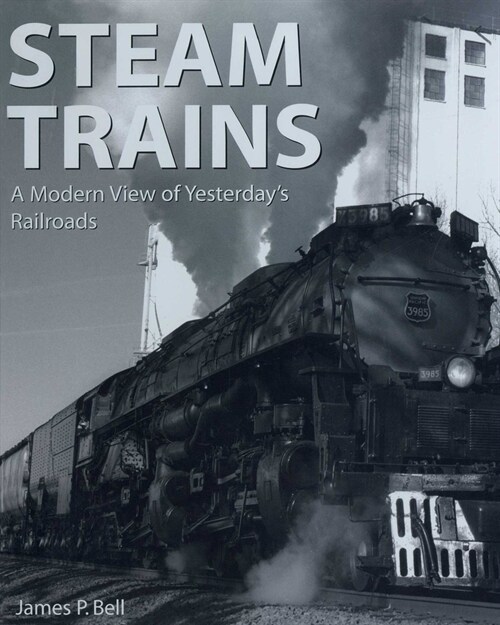 Steam Trains: A Modern View of Yesterdays Railroads (Paperback)