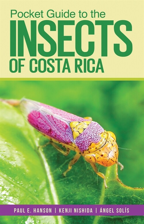 Pocket Guide to the Insects of Costa Rica (Paperback)