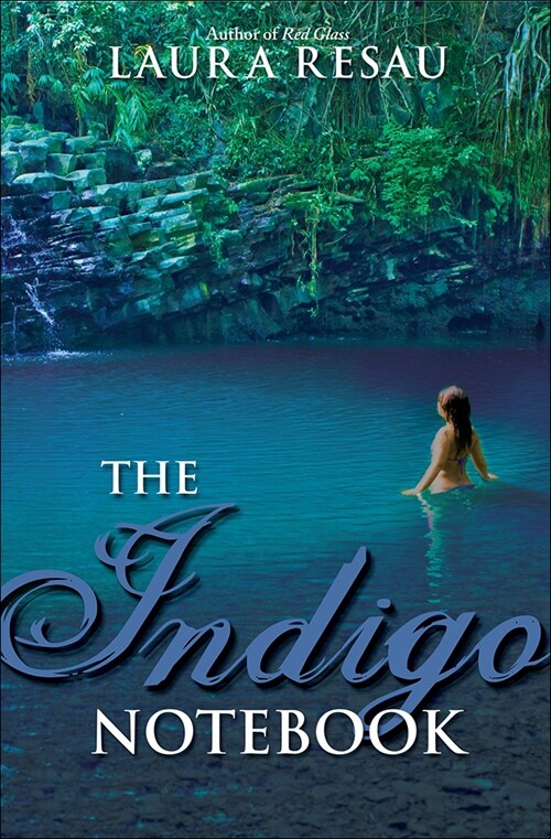 The Indigo Notebook (Prebound)