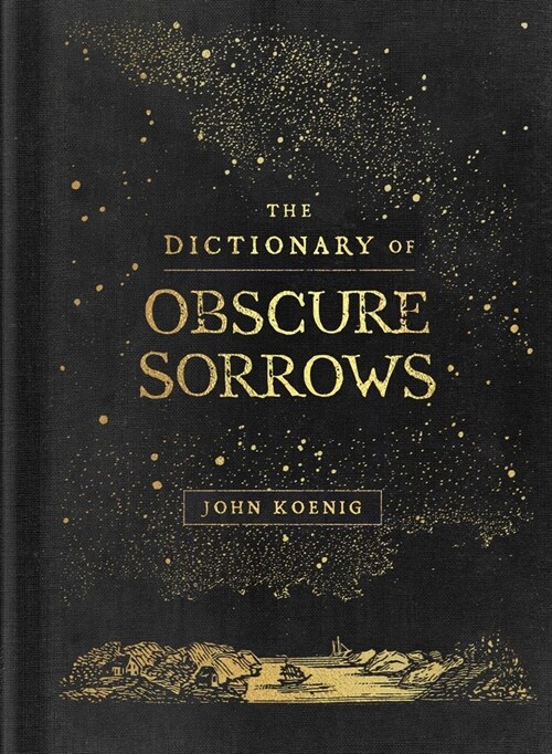 The Dictionary of Obscure Sorrows (Hardcover)