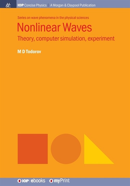 Nonlinear Waves: Theory, Computer Simulation, Experiment (Paperback)