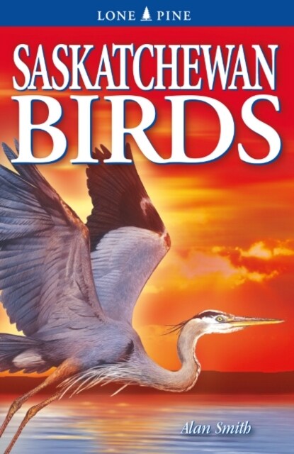 Saskatchewan Birds (Paperback, 2)