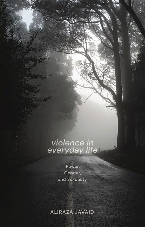 Violence in Everyday Life : Power, Gender and Sexuality (Paperback)