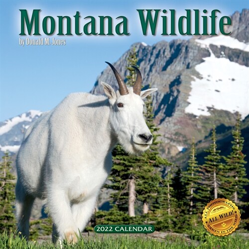 2022 Montana Wildlife Wall Calendar (Wall)