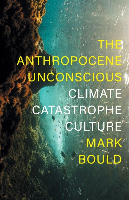 The Anthropocene Unconscious : Climate Catastrophe Culture (Hardcover)