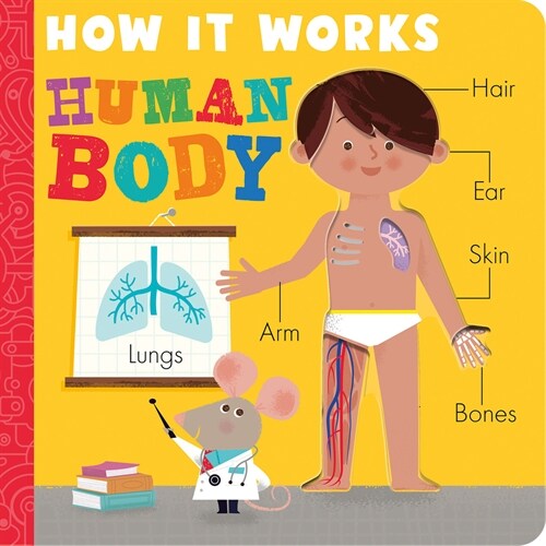 How It Works: Human Body (Board Books)