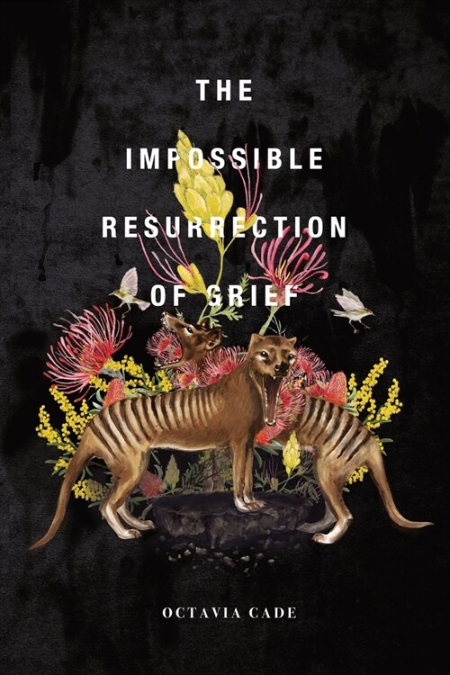 The Impossible Resurrection of Grief (Paperback)