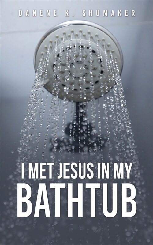 I Met Jesus in My Bathtub (Paperback)