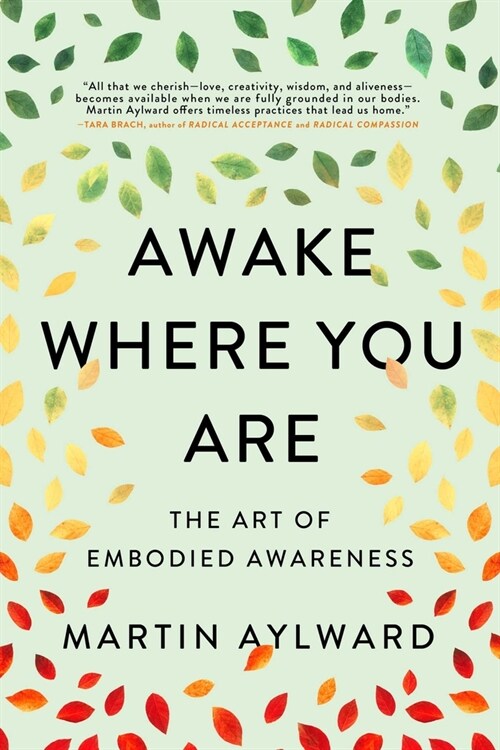 Awake Where You Are: The Art of Embodied Awareness (Paperback)