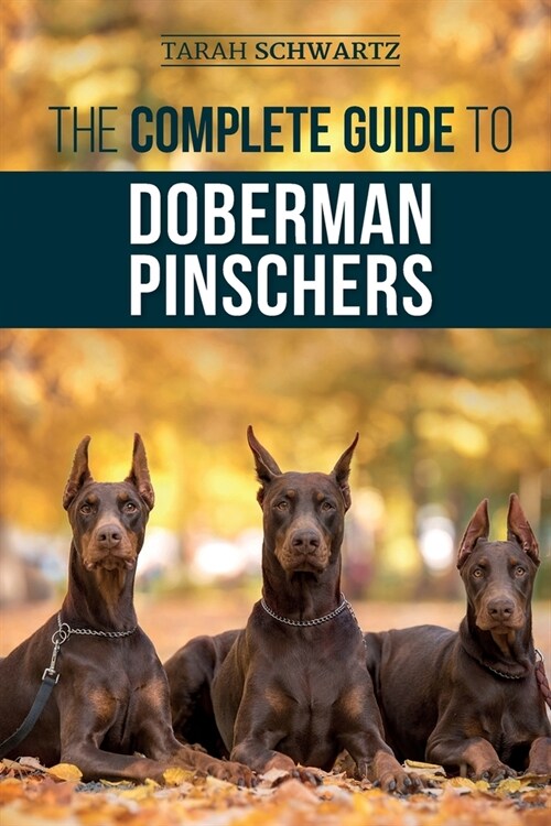 The Complete Guide to Doberman Pinschers: Preparing for, Raising, Training, Feeding, Socializing, and Loving Your New Doberman Puppy (Paperback)