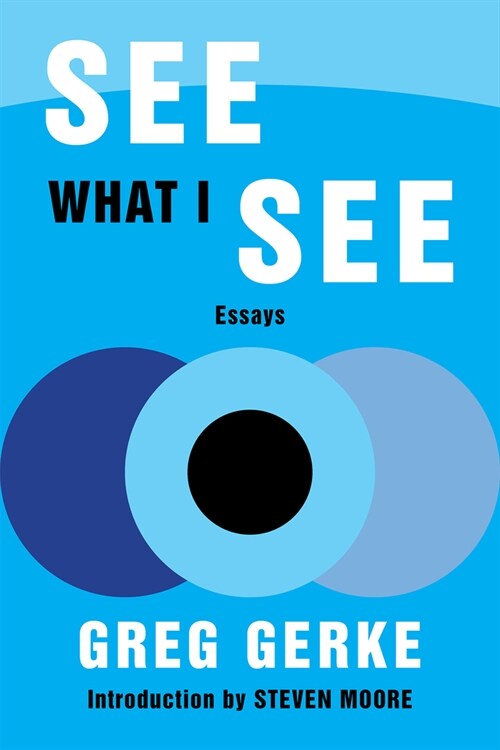 See What I See: Essays (Paperback, 2)