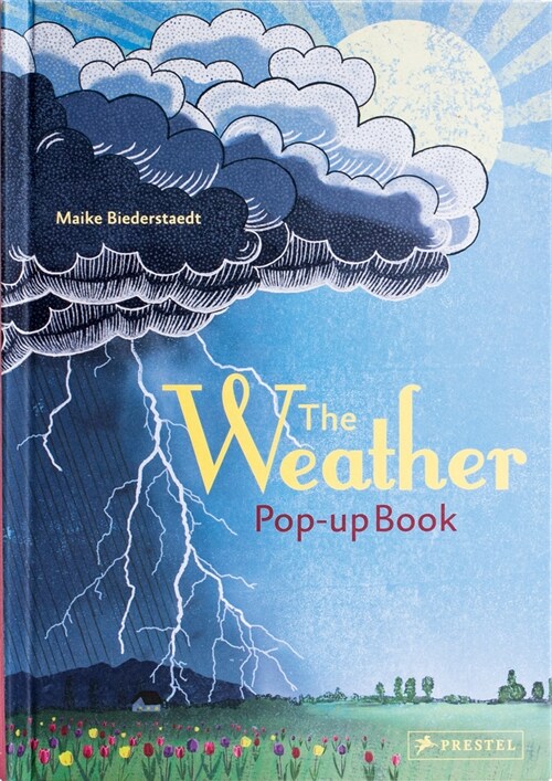 The Weather: Pop-Up Book (Hardcover)