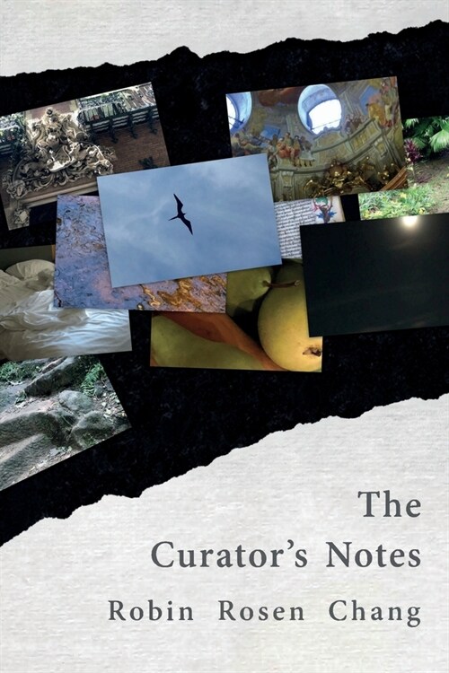 The Curators Notes (Paperback)