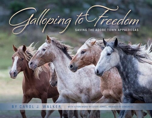 Galloping to Freedom: Saving the Adobe Town Appaloosas (Hardcover)