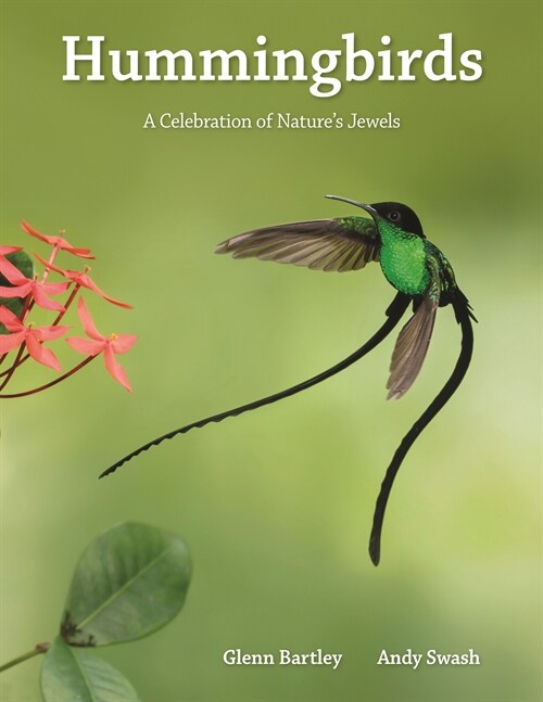 Hummingbirds: A Celebration of Natures Jewels (Hardcover)