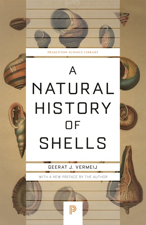 A Natural History of Shells (Paperback)