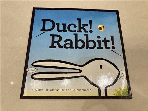 [중고] Duck! Rabbit! (Board Books)