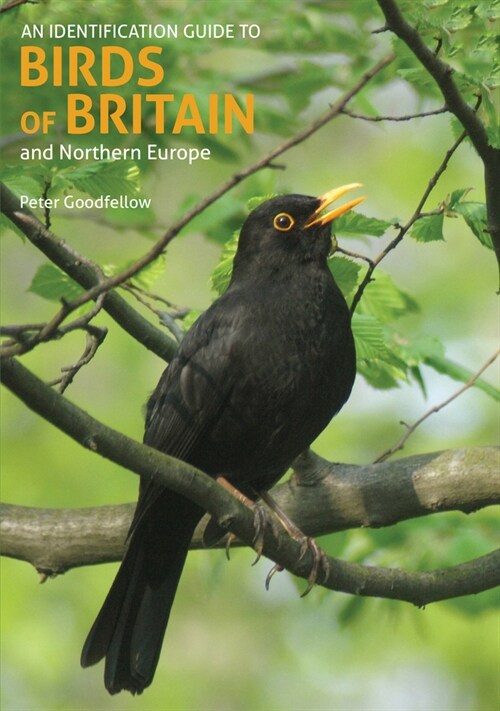 An Identification Guide to Birds of Britain and Northern Europe (2nd edition) (Paperback, 2 Revised edition)