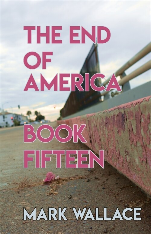 The End of America, Book Fifteen (Paperback)