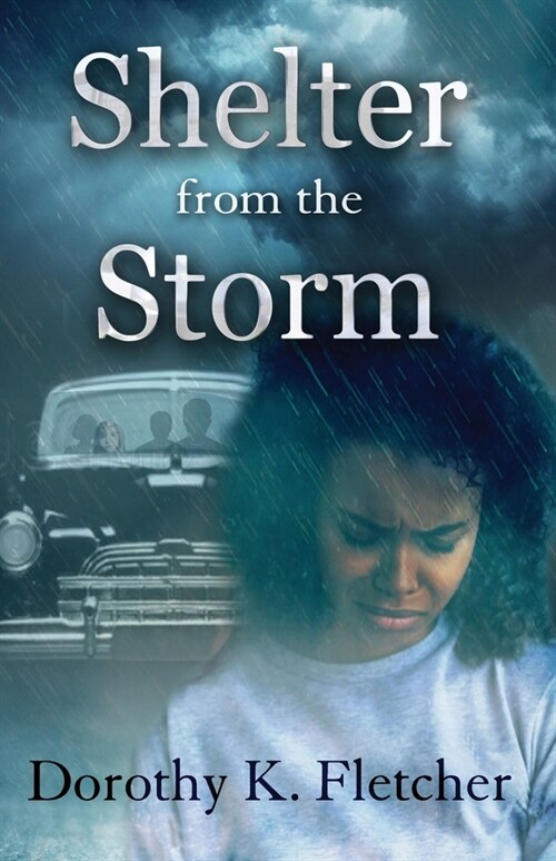 Shelter From The Storm (Paperback)