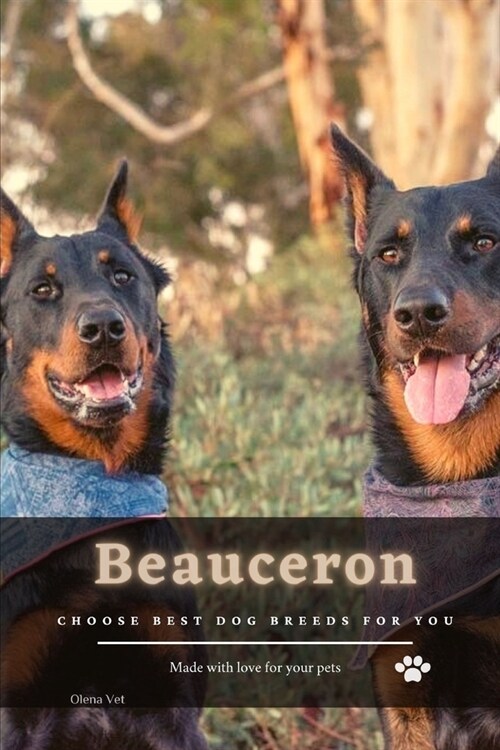 Beauceron: Choose best dog breeds for you (Paperback)