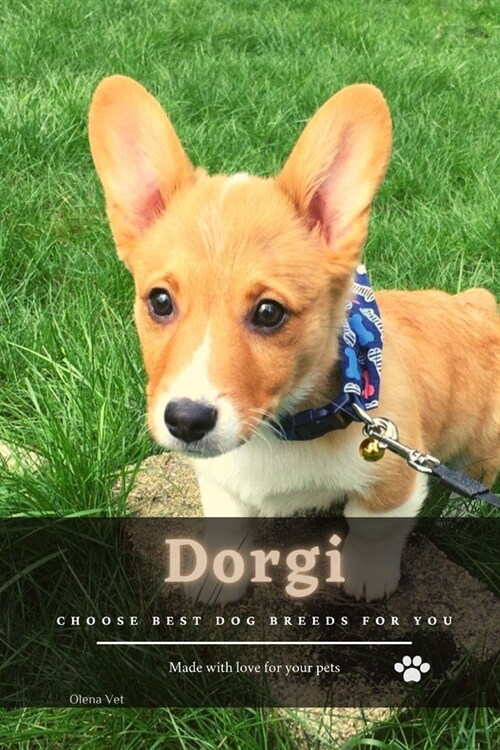 Dorgi: Choose best dog breeds for you (Paperback)