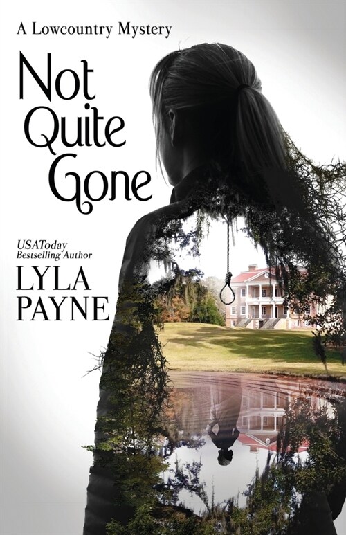 Not Quite Gone (A Lowcountry Mystery) (Paperback)