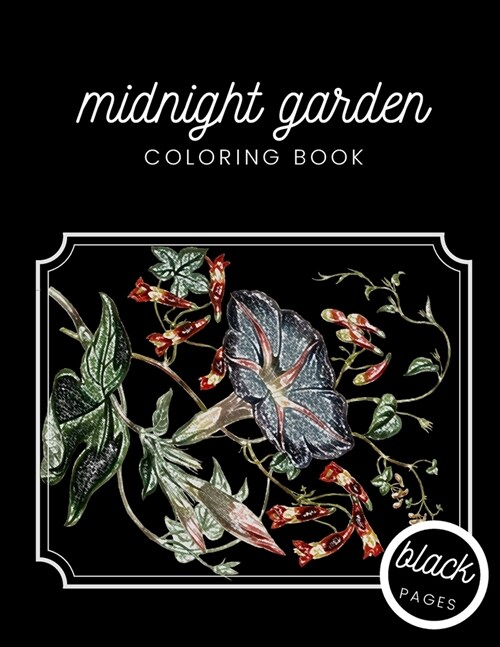 Midnight Garden Coloring Book: Beautiful Flower Illustrations on Black Dramatic Background for Adults Stress Relief and Relaxation (Paperback)