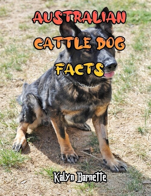 Australian Cattle Dog Facts: AUSTRALIAN CATTLE DOG fact for girl age 1-10 AUSTRALIAN CATTLE DOG fact for boy age 1-10 facts about all about AUSTRAL (Paperback)