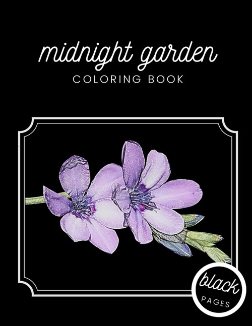 Midnight Garden Coloring Book: Beautiful Flower Illustrations on Black Dramatic Background for Adults Stress Relief and Relaxation (Paperback)