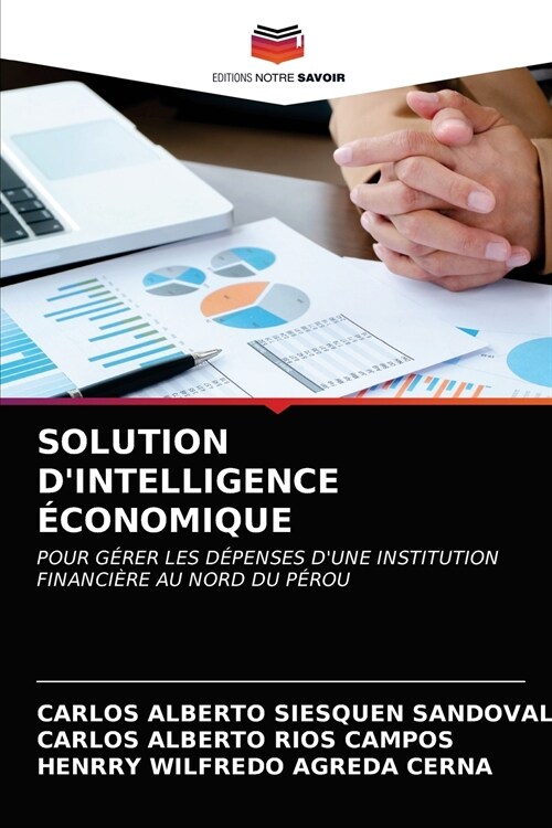 Solution dIntelligence ?onomique (Paperback)