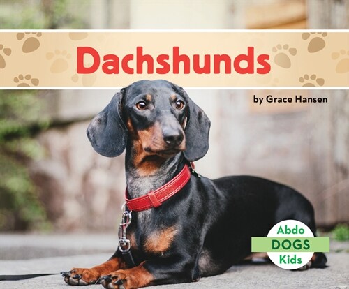 Dachshunds (Library Binding)