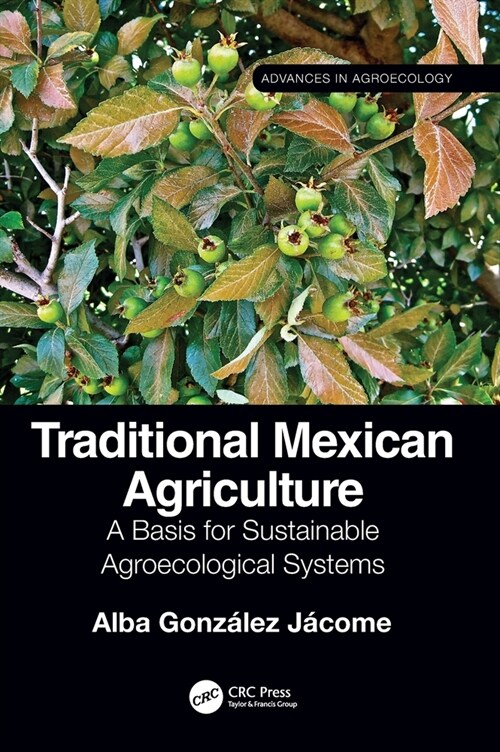 Traditional Mexican Agriculture : A Basis for Sustainable Agroecological Systems (Hardcover)