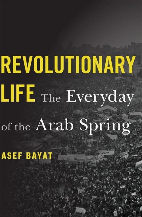 Revolutionary Life: The Everyday of the Arab Spring (Hardcover)