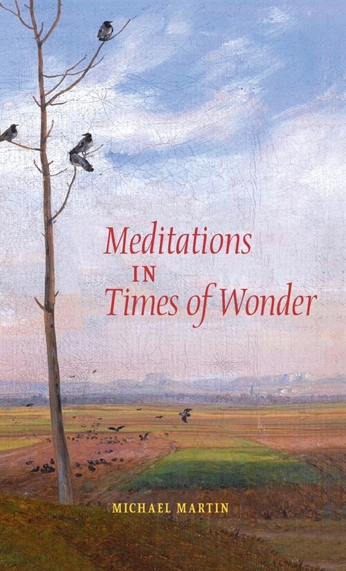 Meditations in Times of Wonder (Hardcover)