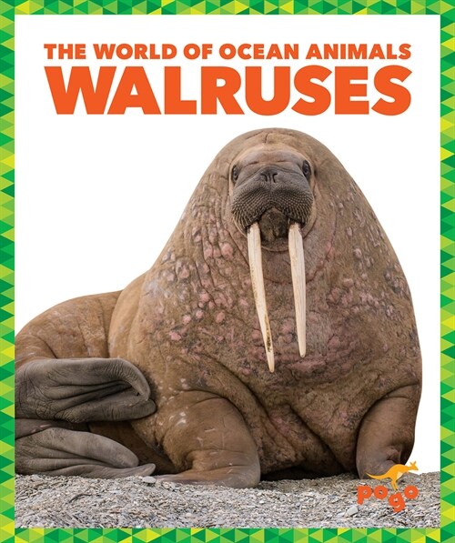Walruses (Library Binding)