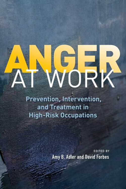 Anger at Work: Prevention, Intervention, and Treatment in High-Risk Occupations (Paperback)