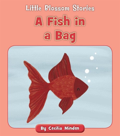 A Fish in a Bag (Paperback)