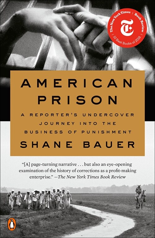 American Prison: A Reporters Undercover Journey Into the Business of Punishment (Prebound)
