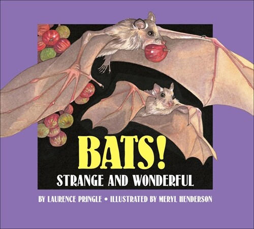 Bats: Strange and Wonderful (Prebound)