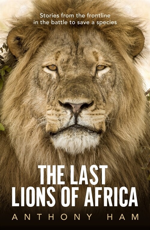 The Last Lions of Africa: Stories from the Frontline in the Battle to Save a Species (Paperback)