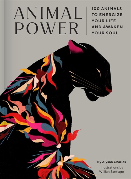 Animal Power: 100 Animals to Energize Your Life and Awaken Your Soul (Hardcover)