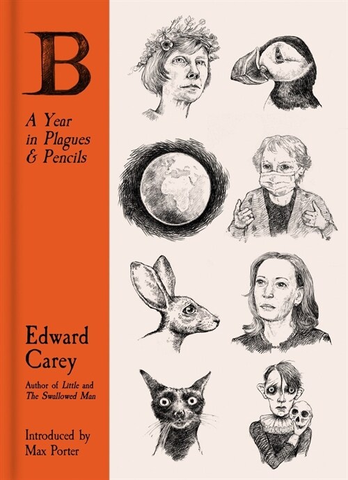 B: A Year in Plagues and Pencils (Hardcover)