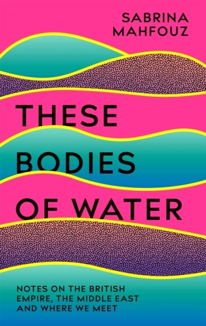 These Bodies of Water : A Personal History of the British Empire in the Middle East (Hardcover)