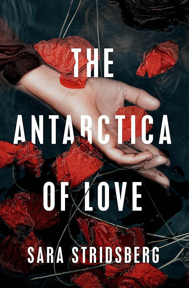 The Antarctica of Love (Paperback)