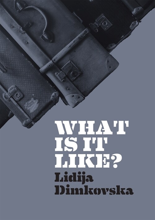 What Is It Like? (Paperback)