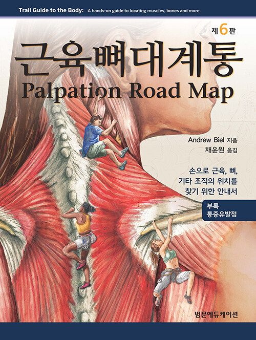 근육뼈대계통 Palpation Road Map