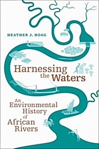 Developing the Rivers of East and West Africa: An Environmental History (Paperback)