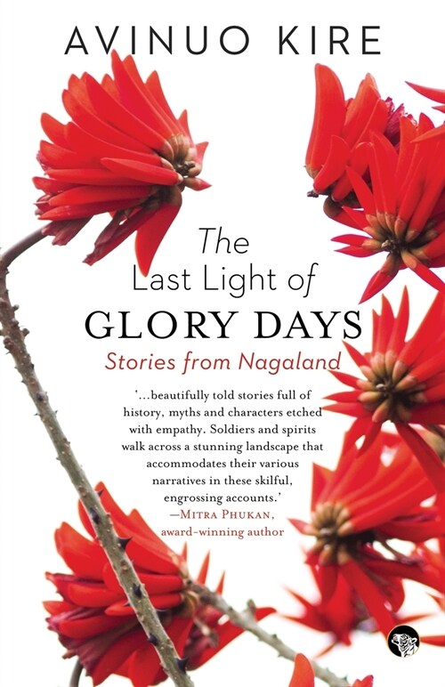 The Last Light of Glory Days (Paperback)